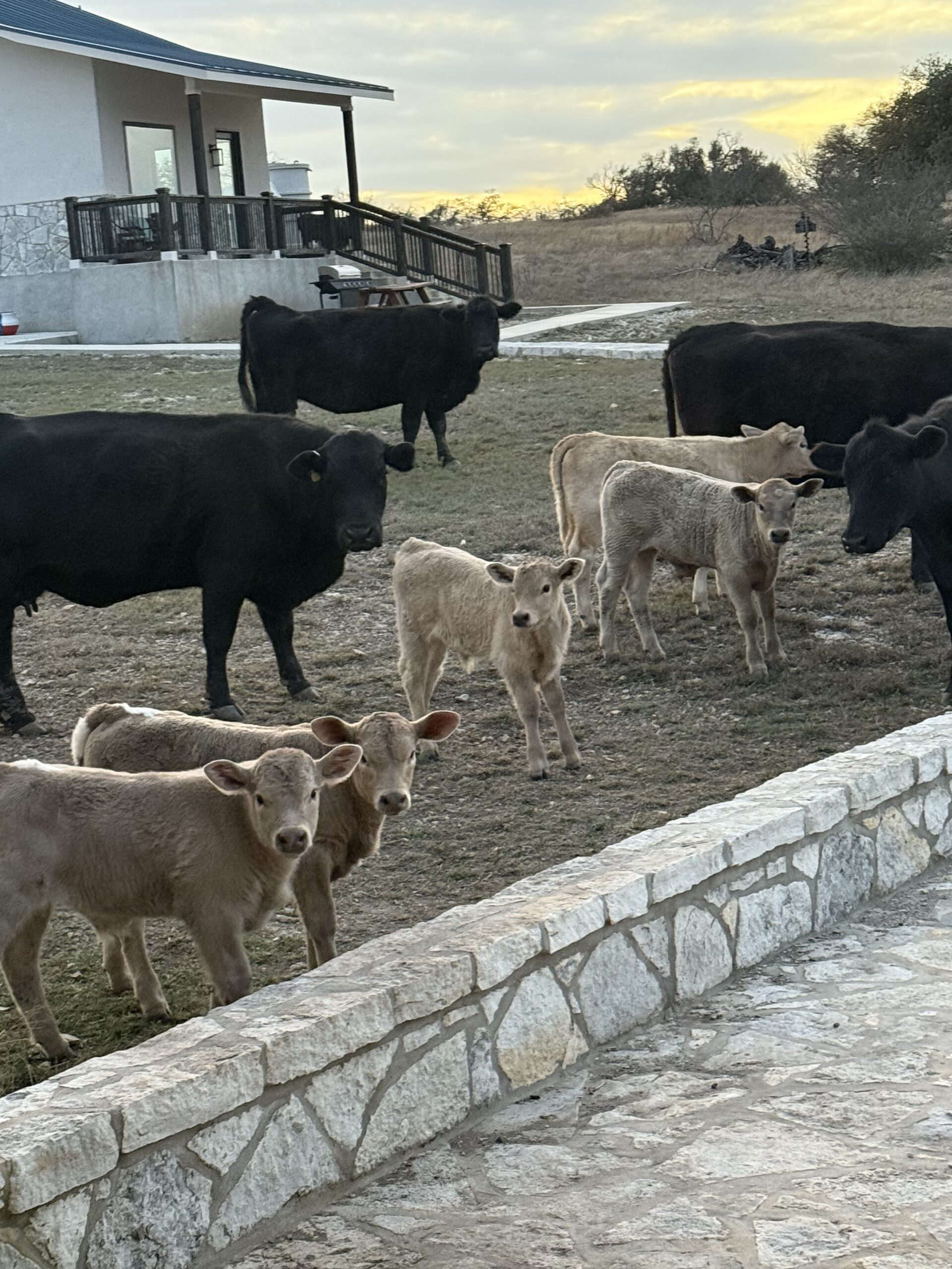 There Is No Flow — It’s All Mayhem (And That’s OK)