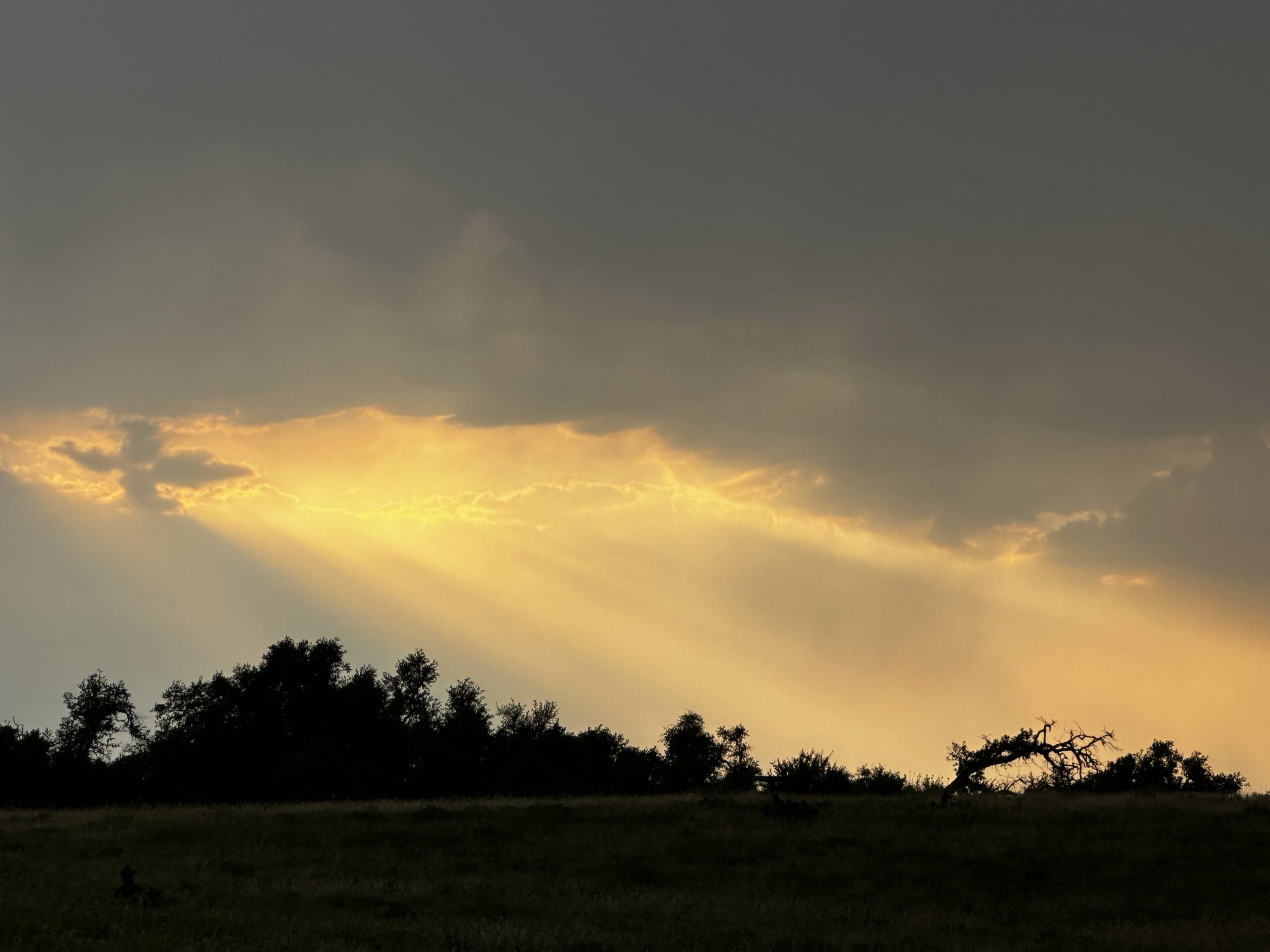 counting-my-blessings-with-a-heavy-heart