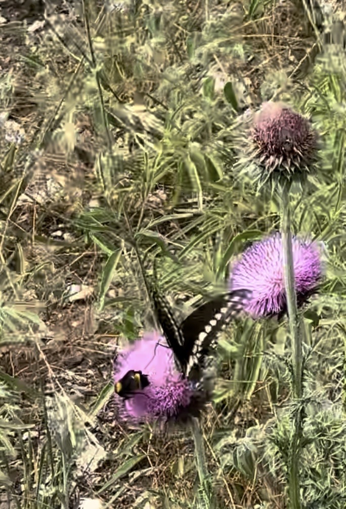 But what if you fly?