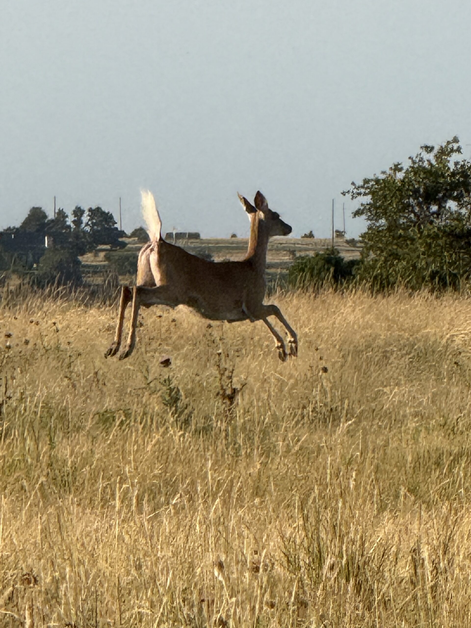 Learning to Let Go: Casting the Bad into the Wind
