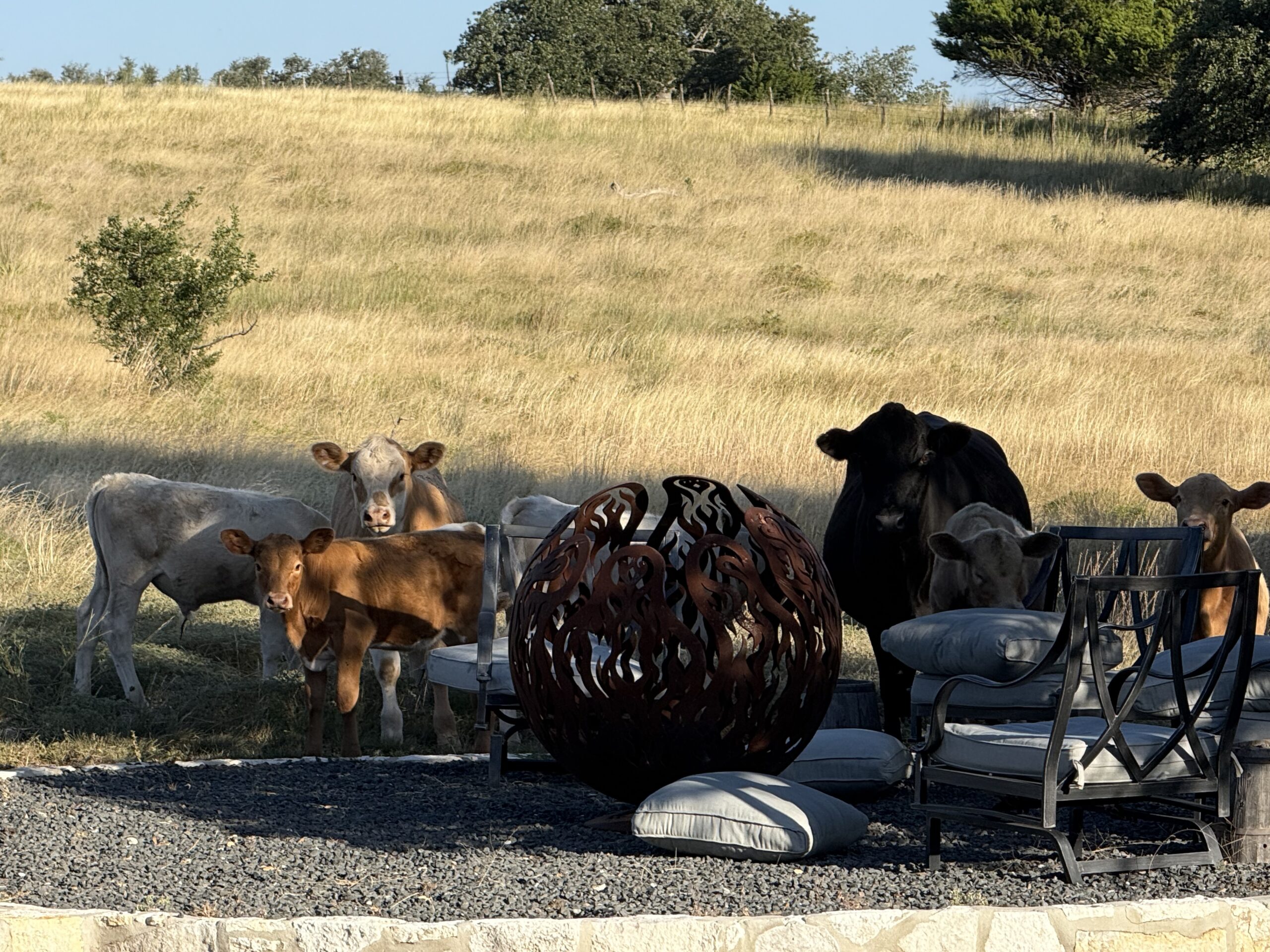 Why We Celebrate Labor Day