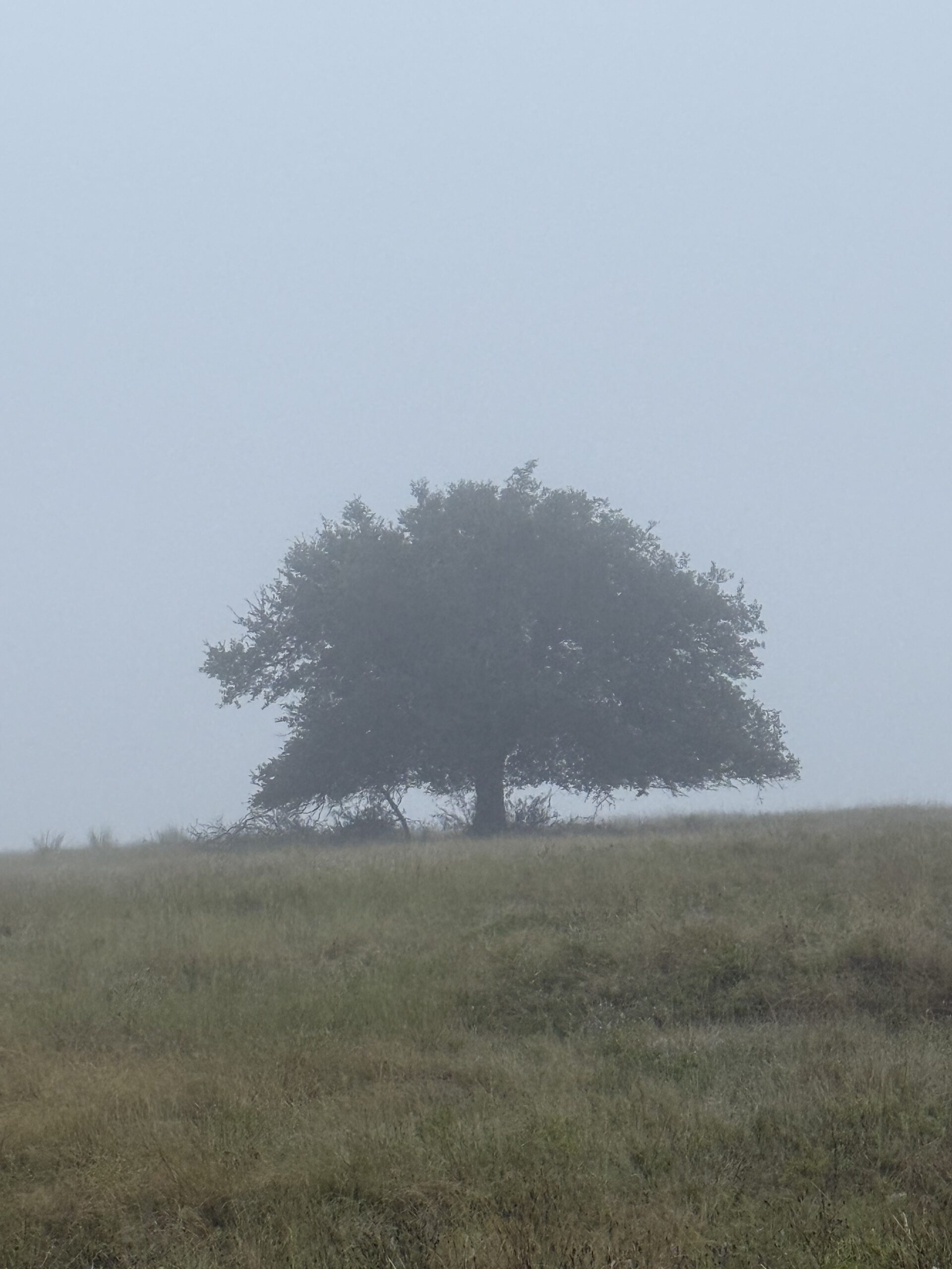 Sometimes Time Is A Healer